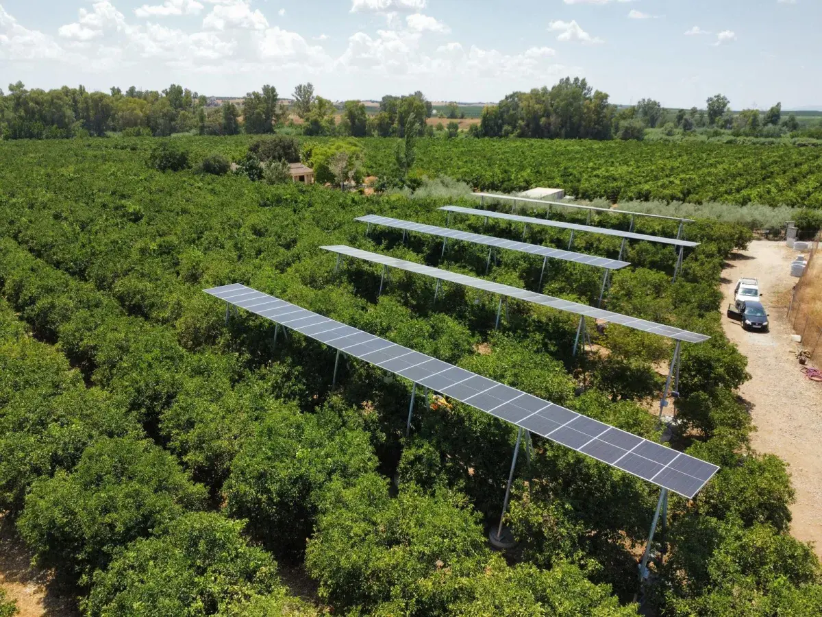 Instalación agrivoltaica con paneles solares sobre cultivos
