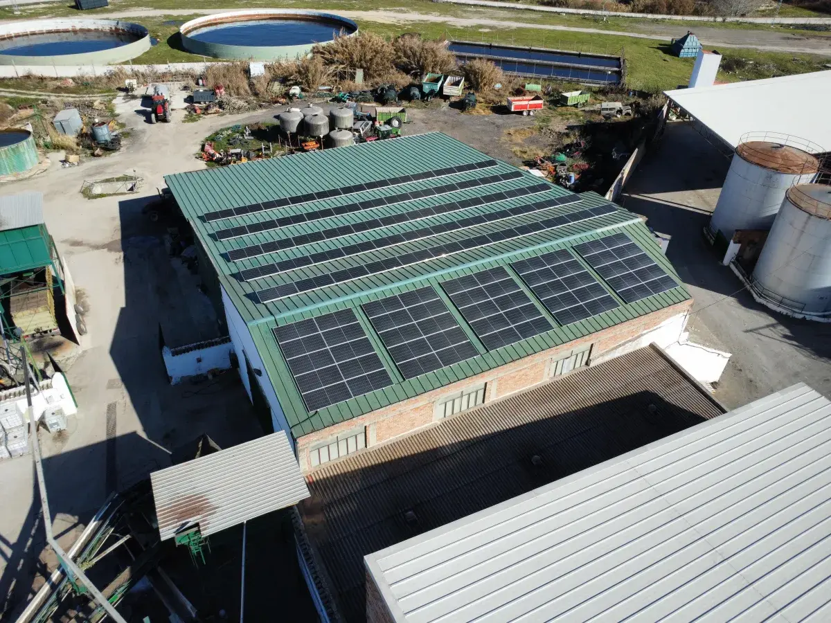 Paneles solares instalados en un parque solar